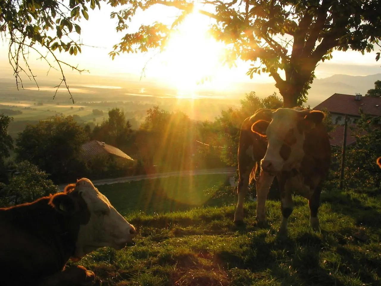 Farm stay Koglhof Villa Fischbachau